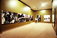 Vlaminck