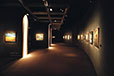 Vlaminck