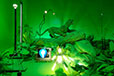 Iluminar – Design da Luz
