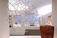 Design Brasileiro 