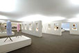 Design Brasileiro 