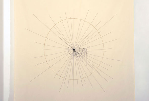 Exposição Processos e Deslocamentos